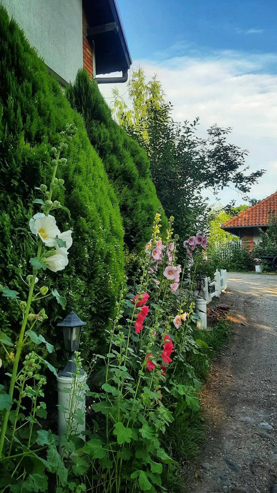 Straznica Komtura Lejlighed Mikołajki Eksteriør billede